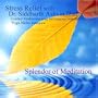 Stress Relief With Dr. Siddharth Ashvin Shah - Guided Meditation and Yoga Nidra Relaxation