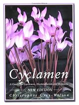 Cyclamen