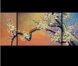 Abstract Art Plum Blossom Chinese Feng Shui Painting 40-1 514TaY7UCML. SL160 Modern Abstract Art Oil Painting STRETCHED READY TO HANG OPC215