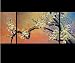 Fengshui-paintings.com