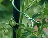 The Tomato Stake - Better than metal cages or bamboo stakes.