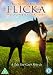 Flicka 3: Country Pride