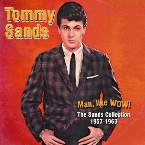 Raven Rec. (Bamacher Musikverlag) Man,Like Wow! Sands Collection