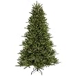 8.5' Pre-Lit Vermont Fir Instant Shape Artificial Christmas Tree - Clear Lights