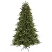 8.5' Pre-Lit Vermont Fir Instant Shape Artificial Christmas Tree - Clear Lights