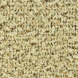 SpeckDeck 75057 5-Feet by 7.5-Feet Motorcycle Mat, Ivory SpeckDeck 75057 5-Feet by 7.5-Feet Motorcycle Mat, Ivory
