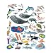 Sea Life - Figures Only - Pre-Cut Flannelboard Figures