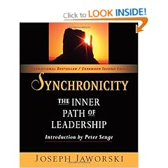 Synchronicity: The Inner Path of Leadership (BK Business)