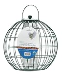 Chapelwood Anti Squirrel Peanut Feeder Outdoor Living