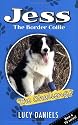 Jess the Border Collie: The Challenge