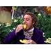 Product Video: Willy Wonka And The Chocolate Factory-Trailer - Trailer