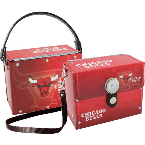 Littlearth Chicago Bulls Fanatic Purse