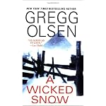 A Wicked Snow book cover