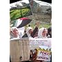 Life in Occupied Palestine: Eyewitness Stories & Photos