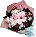�y09��̓��z���܂����ԑ� �s���N�u�[�P