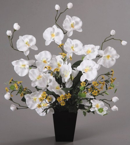 光触媒アートフラワー　胡蝶蘭アレンジ　Ａ１９１０－５０ 