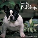 French Bulldogs 2008 Wall Calendar