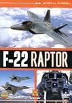 F-22 Raptor