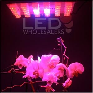 660 Nm RED + 450 Nm Blue Hydroponic Lamp LED Grow Light 2510RED+BLUE by 