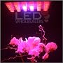 660 Nm RED + 450 Nm Blue Hydroponic Lamp LED Grow Light