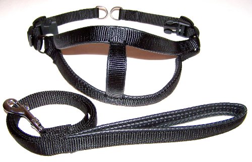 Padded Step-In Dog Harness & Leash Set Size Medium 17″-23″ Chest Black
