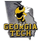 Bergamot Georgia Tech Yellow Jackets Hitch Cover