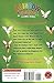 Amy: The Amethyst Fairy (Rainbow Magic: The Jewel Fairies, No. 5)
