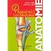 Anatomie, tome 2 : L'appareil locomoteur