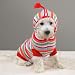 MEDIUM - Striped Hoodie Sweater - BRIGHT STRIPES DOG SWEATER