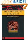 The Wild World of 4-Manifolds