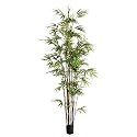 Potted Bamboo Faux Tree - 6'