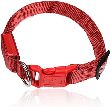 Keep Me Safe Illuminated Dog Collar (MEDIUM 17" to 20 1/2", Royal Red)