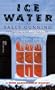 ICE WATER (A Peter Bartholomew Mystery)