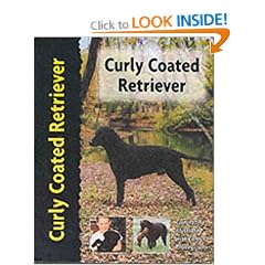 Curly Coated Retriever (Petlove)
