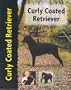 Curly Coated Retriever (Petlove S.)