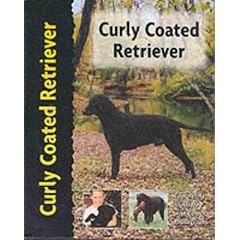 Curly Coated Retriever