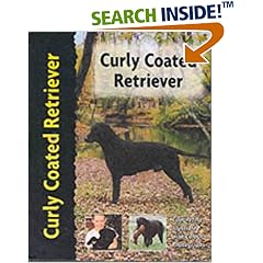 Curly Coated Retriever (Petlove)