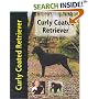 Curly Coated Retriever (Petlove)