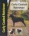 Curly Coated Retriever (Petlove S.)