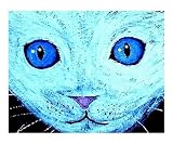 CAT KITTEN FELINE PET STARE BLUE EYES UNIQUE PAINTING DECOR BEAUTIFUL LOVELY EYES ART POPULAR Emerging Artists Giclee Poster Print by Teo Alfonso, 20x16