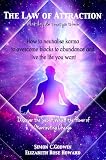The Law of Attraction:How to neutralise Karma to manifest Money, Overcome Blocks to Abundance and live the life you want (New Hilarion Series)