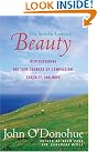 Beauty: The Invisible...