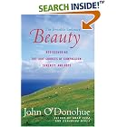 Beauty: The Invisible Embrace by  John O'donohue
