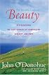 Beauty : The Invisible Embrace