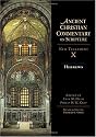 Hebrews: Ancient Christian commentary on Scripture, New Testament X