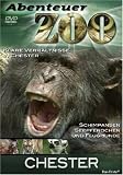 Eigenschaften VZ-Handelsgesellschaft  / Abenteuer Zoo - Chester