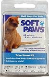Soft Paws for Medium Cats