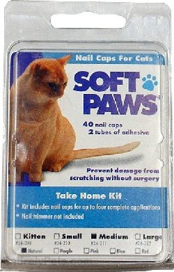 Soft Paws for Medium Cats