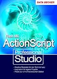 Professional Studio Flash MX und ActionScript