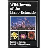 wildflowers of the llano estacado
